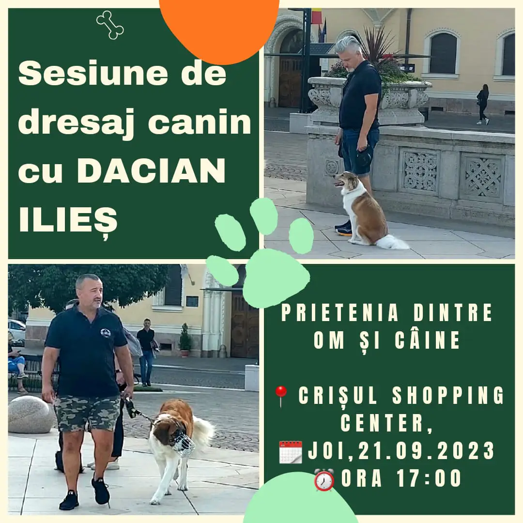 Sesiune de desaj canin cu Dacian Ilieș
