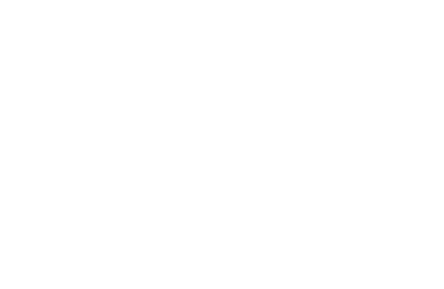 DigiRay